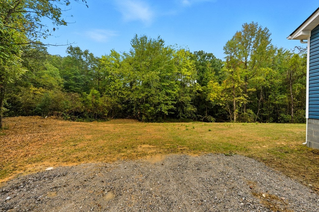 236 Buffalo Heights Road Farmville, VA 23901 - Photo 58 of 61 Gallery Image 58