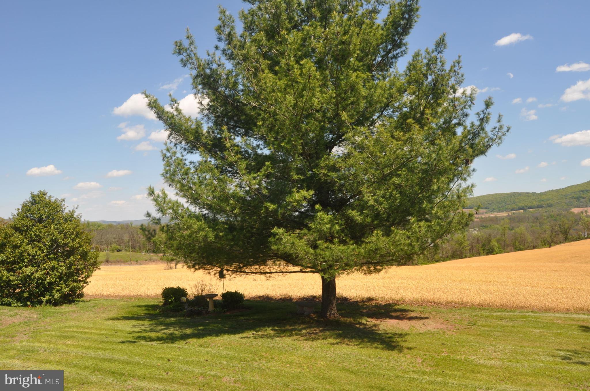 1283 Armstrong Valley Road Halifax, PA 17032 - Photo 25 of 31