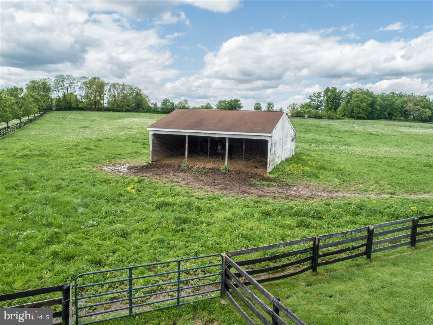1384 Bon-Ox Road Gettysburg, PA 17325 - Photo 89 of 100 Run in