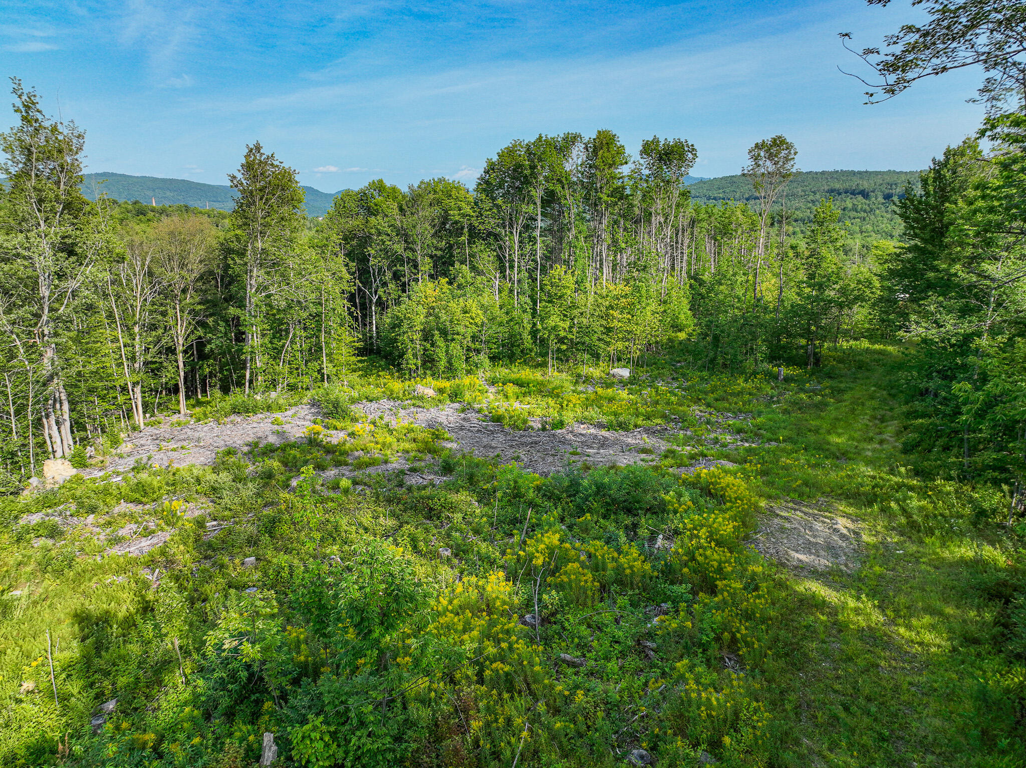0 Swain Road Rumford, ME 04276 - Photo 5 of 19