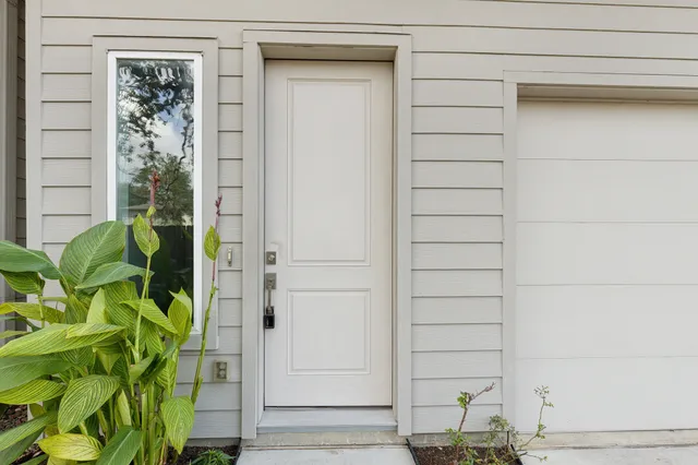 a close up of a plant