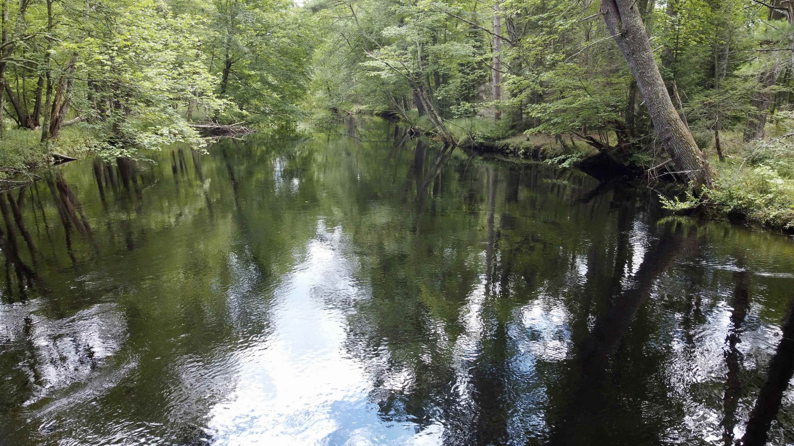 308 Little River Road Berwick, ME 03901 - Photo 19 of 29 Gallery Image 19