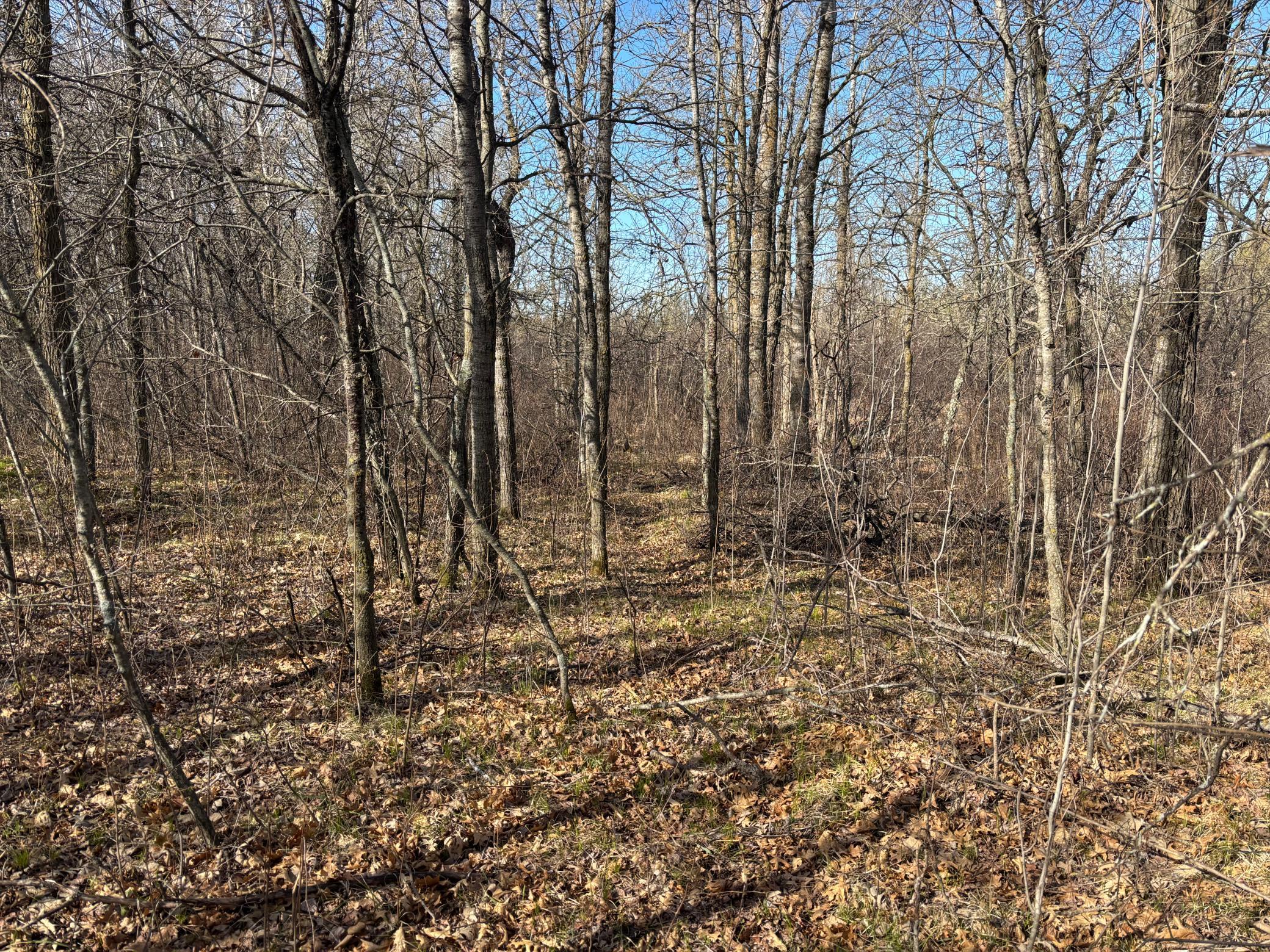 Tbd Arbor Road Park Rapids, MN 56470 - Photo 16 of 29