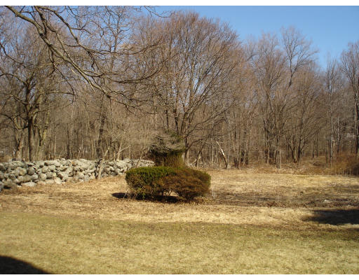 95 Reed Street Lexington, MA 02421 - Photo 7 of 8 a view of yard with trees