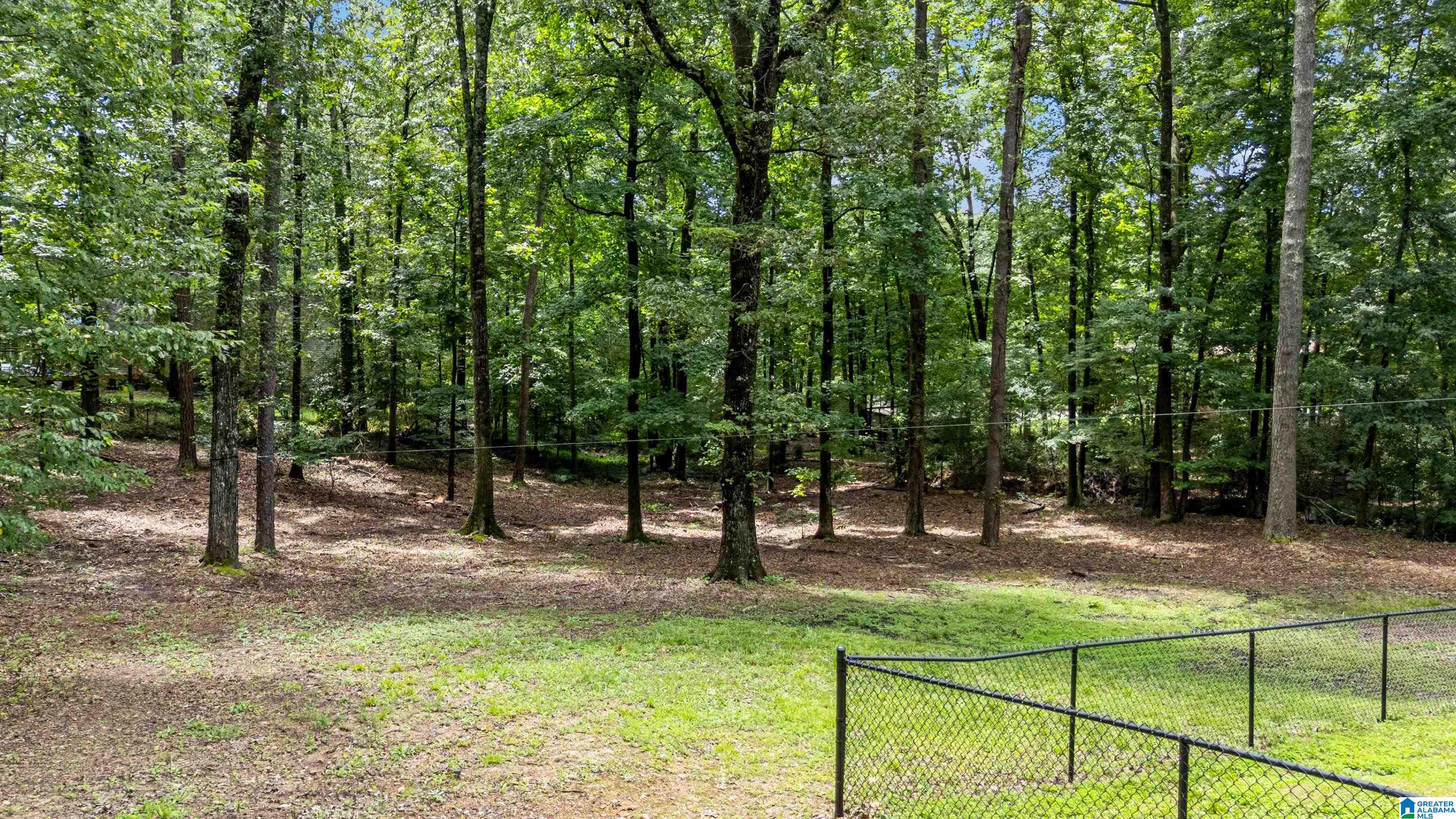 499 New Hope Mountain Road Pelham, AL 35124 - Photo 52 of 62