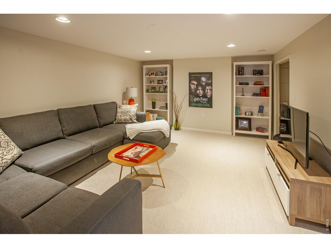 6152 Hygiene Road Longmont, CO 80503 - Photo 25 of 40 Downstairs TV Room