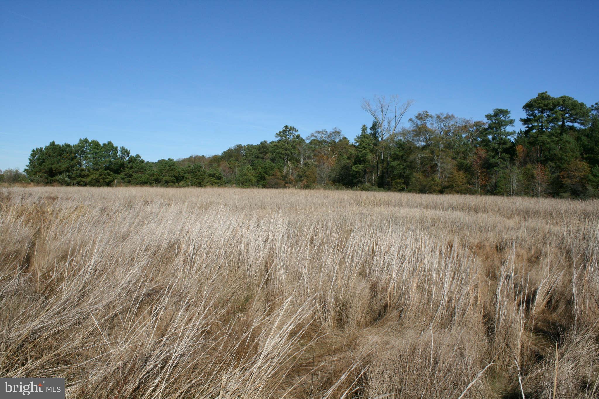 4103 Griffith Neck Road Cambridge, MD 21613 - Photo 5 of 9 impoundment