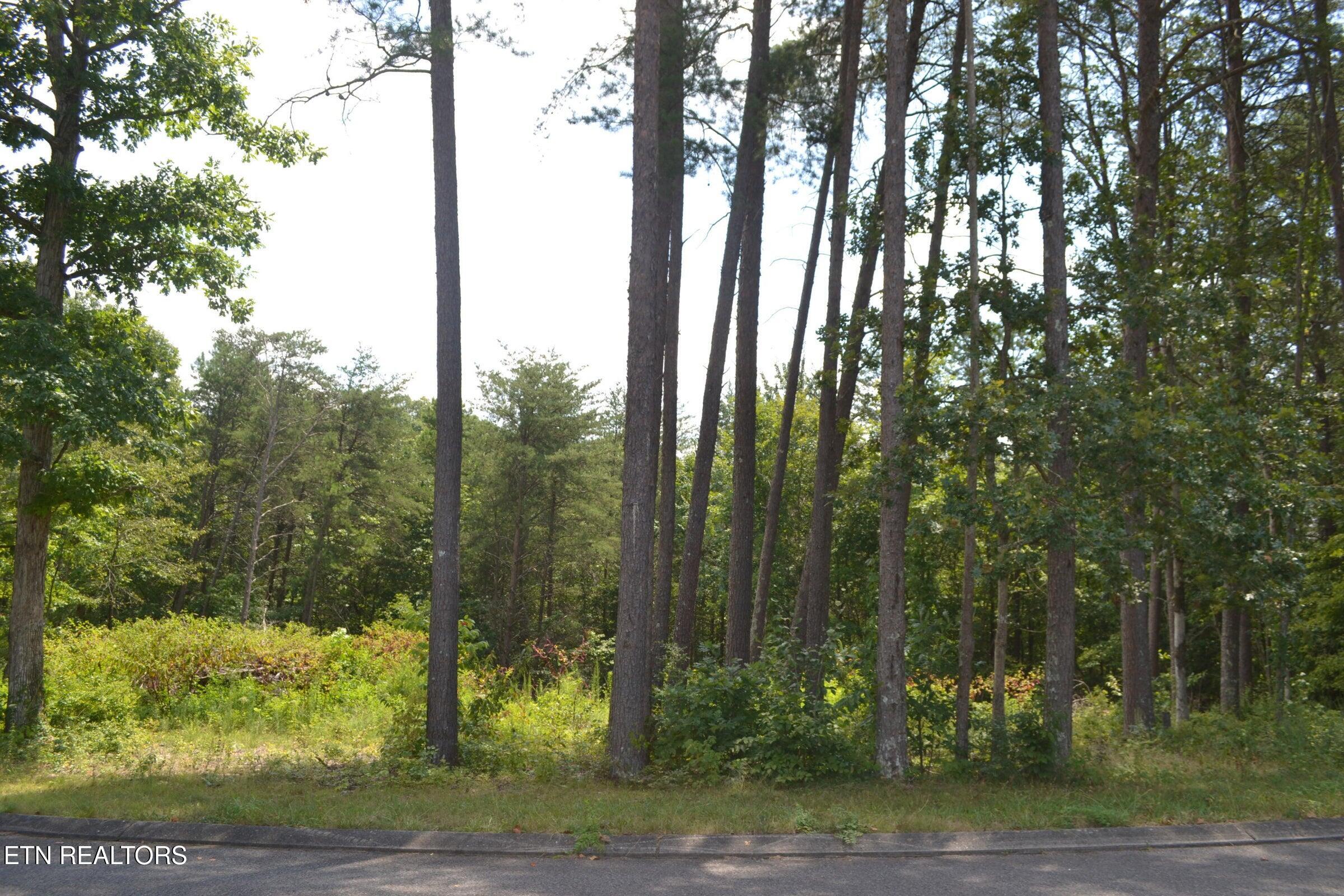 0 Countryside Drive Dunlap, TN 37327 - Photo 2 of 13 2