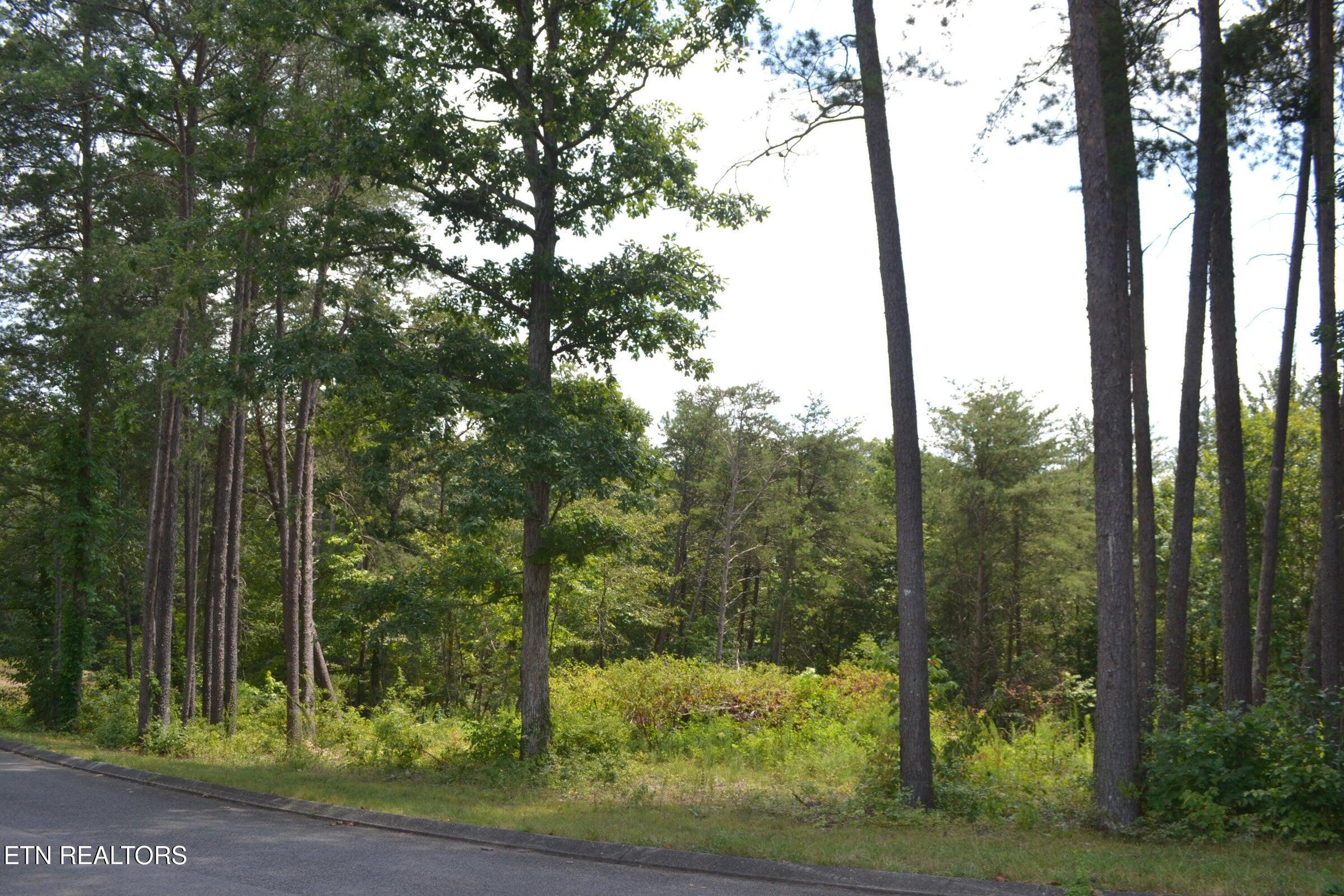 0 Countryside Drive Dunlap, TN 37327 - Photo 3 of 13 3