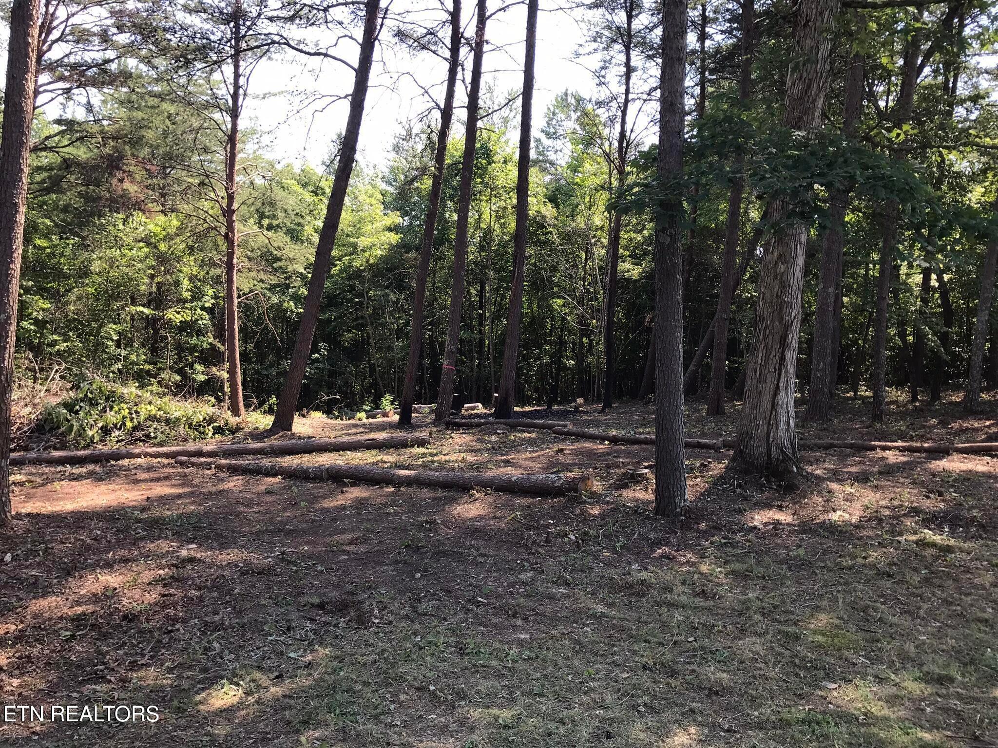 0 Countryside Drive Dunlap, TN 37327 - Photo 4 of 13 4