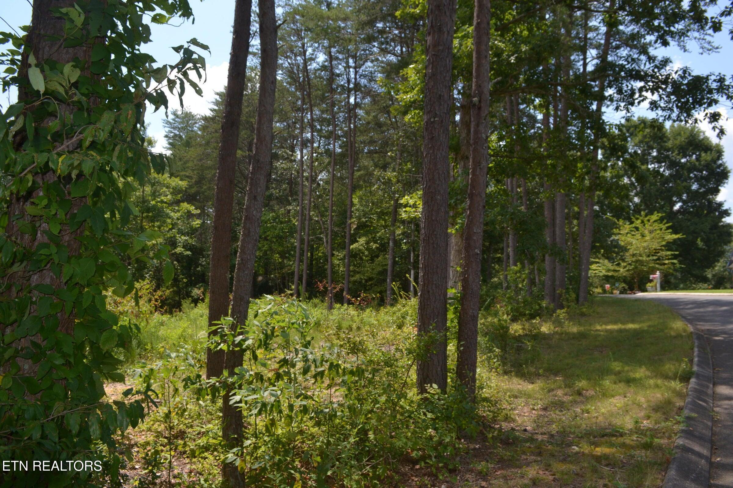 0 Countryside Drive Dunlap, TN 37327 - Photo 6 of 13 6