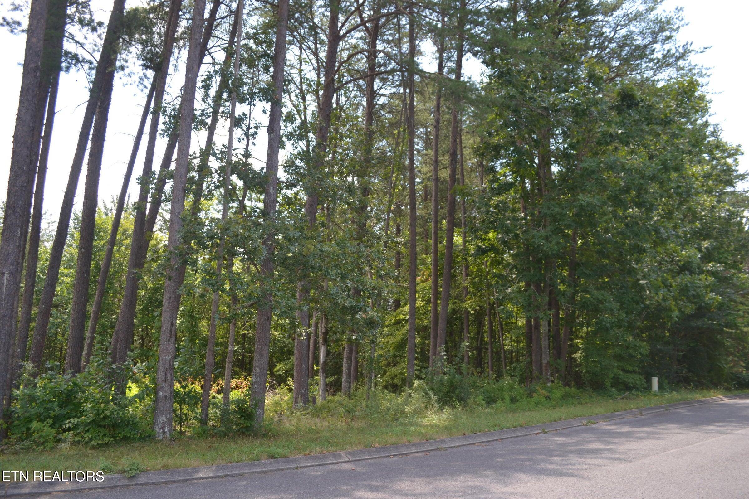 0 Countryside Drive Dunlap, TN 37327 - Photo 7 of 13 7