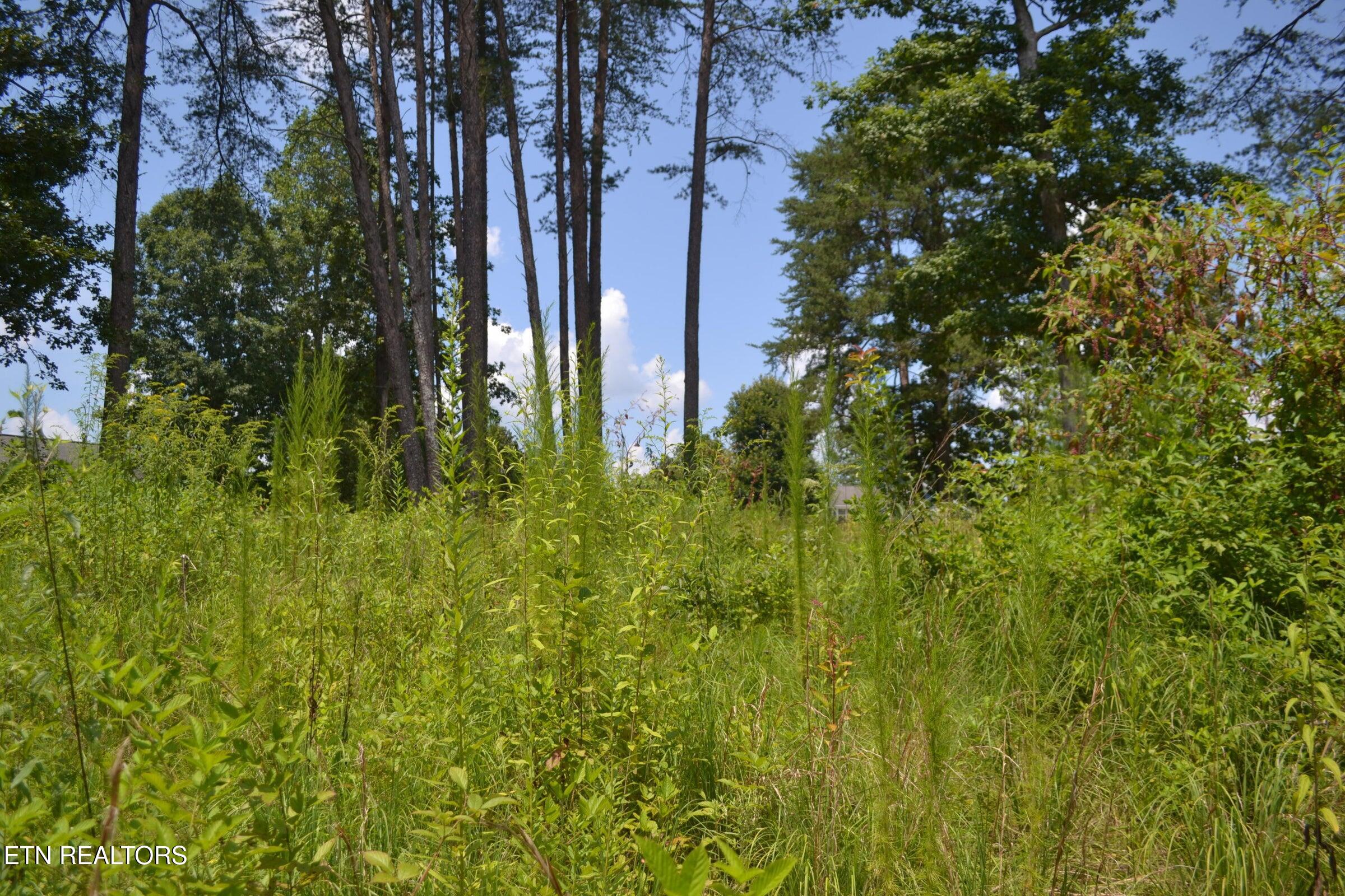 0 Countryside Drive Dunlap, TN 37327 - Photo 8 of 13 8