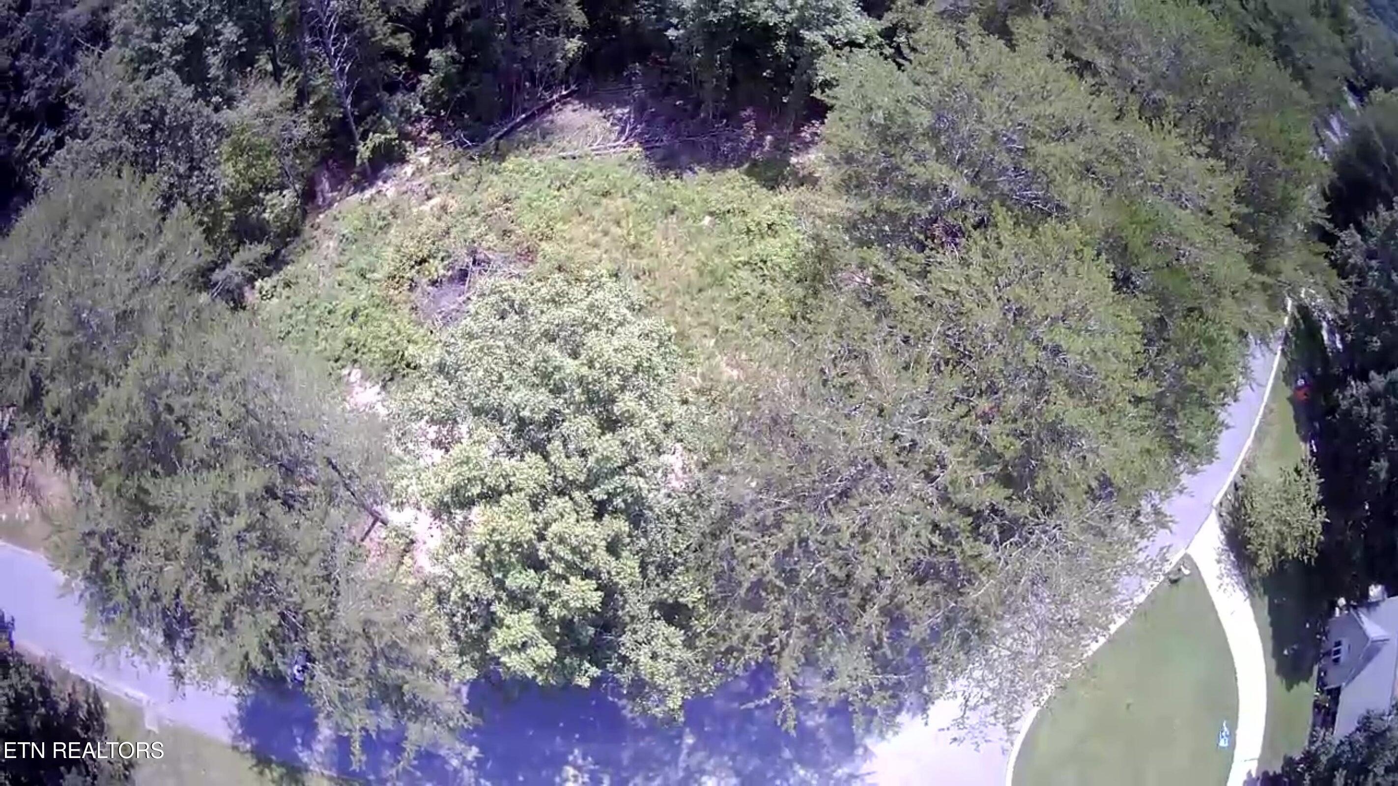 0 Countryside Drive Dunlap, TN 37327 - Photo 9 of 13 9