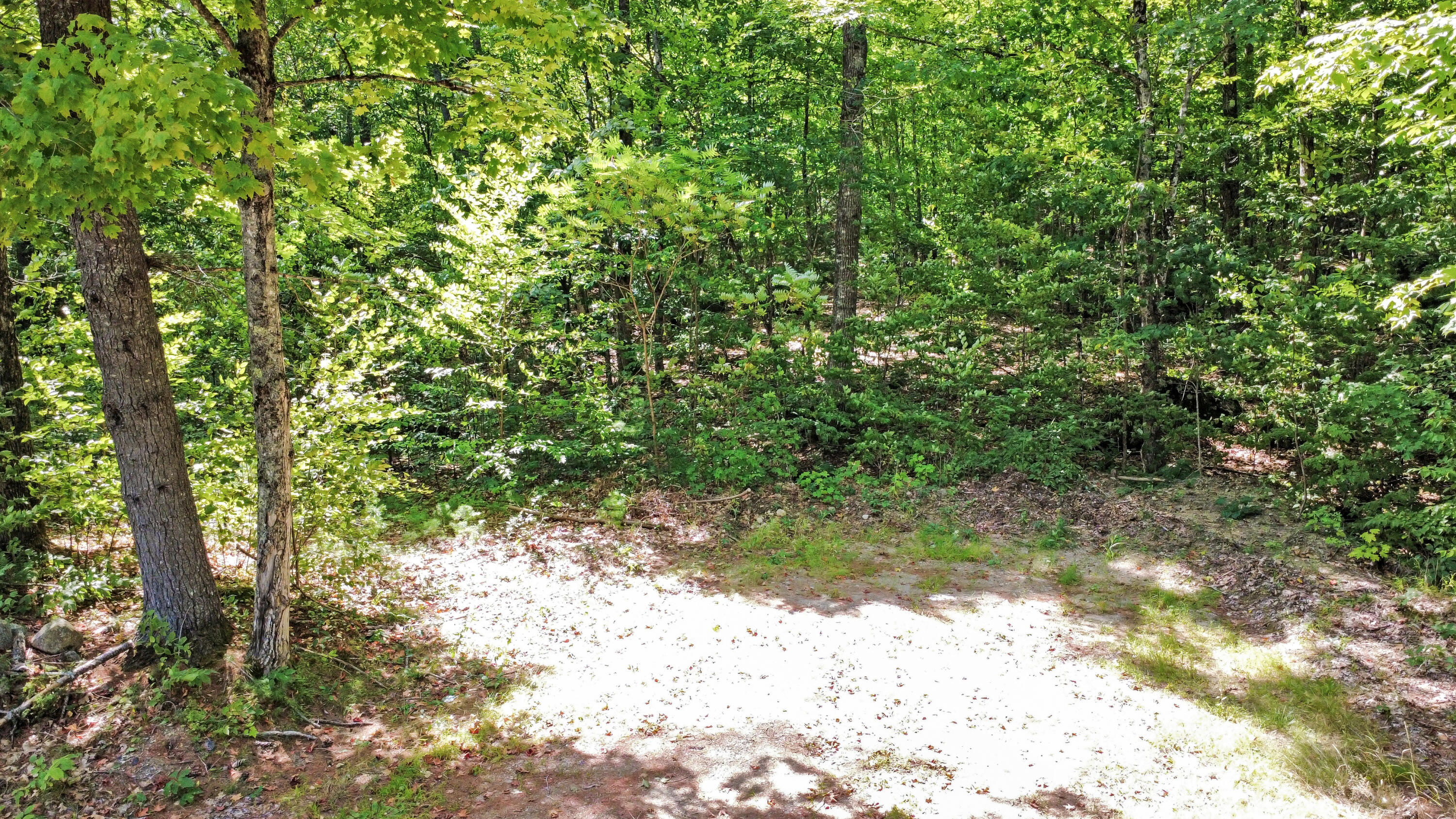 896 Greenwoods Road Sumner, ME 04292 - Photo 3 of 11 dji_fly_20260908_132628_528_178888841380