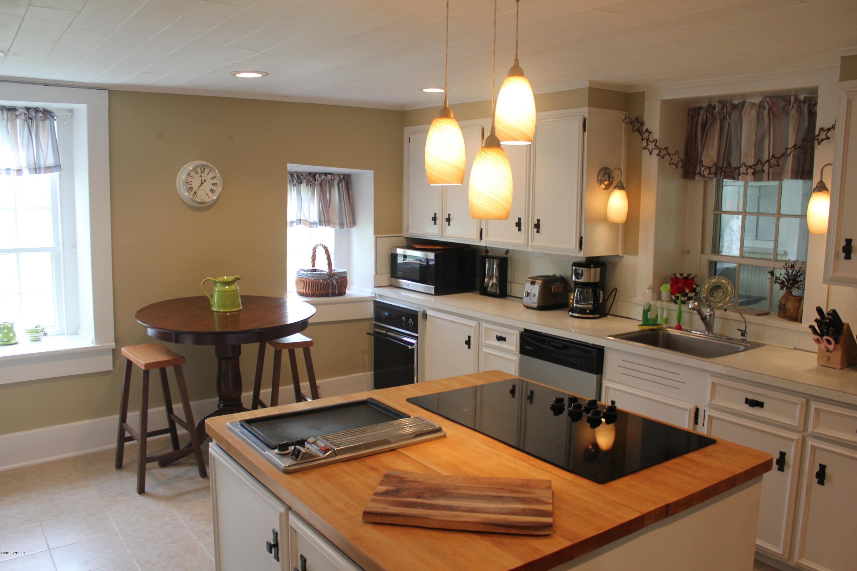 351 Duck Run Road Mill Hall, PA 17751 - Photo 6 of 40 Kitchen3