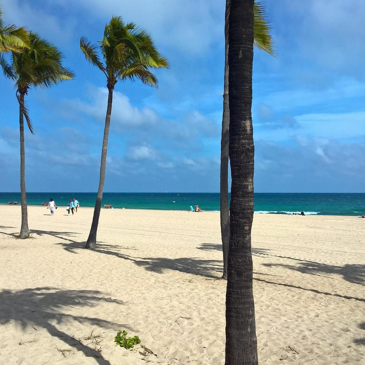 3776 Inverrary Boulevard, Unit 308R Lauderhill, FL 33319 - Photo 42 of 43 Photo 44