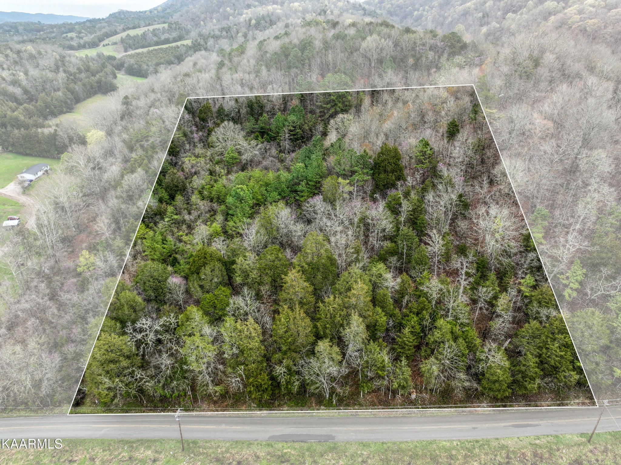 0 Walker Ford Road Maynardville, TN 37807 - Photo 21 of 24 Gallery Image 21