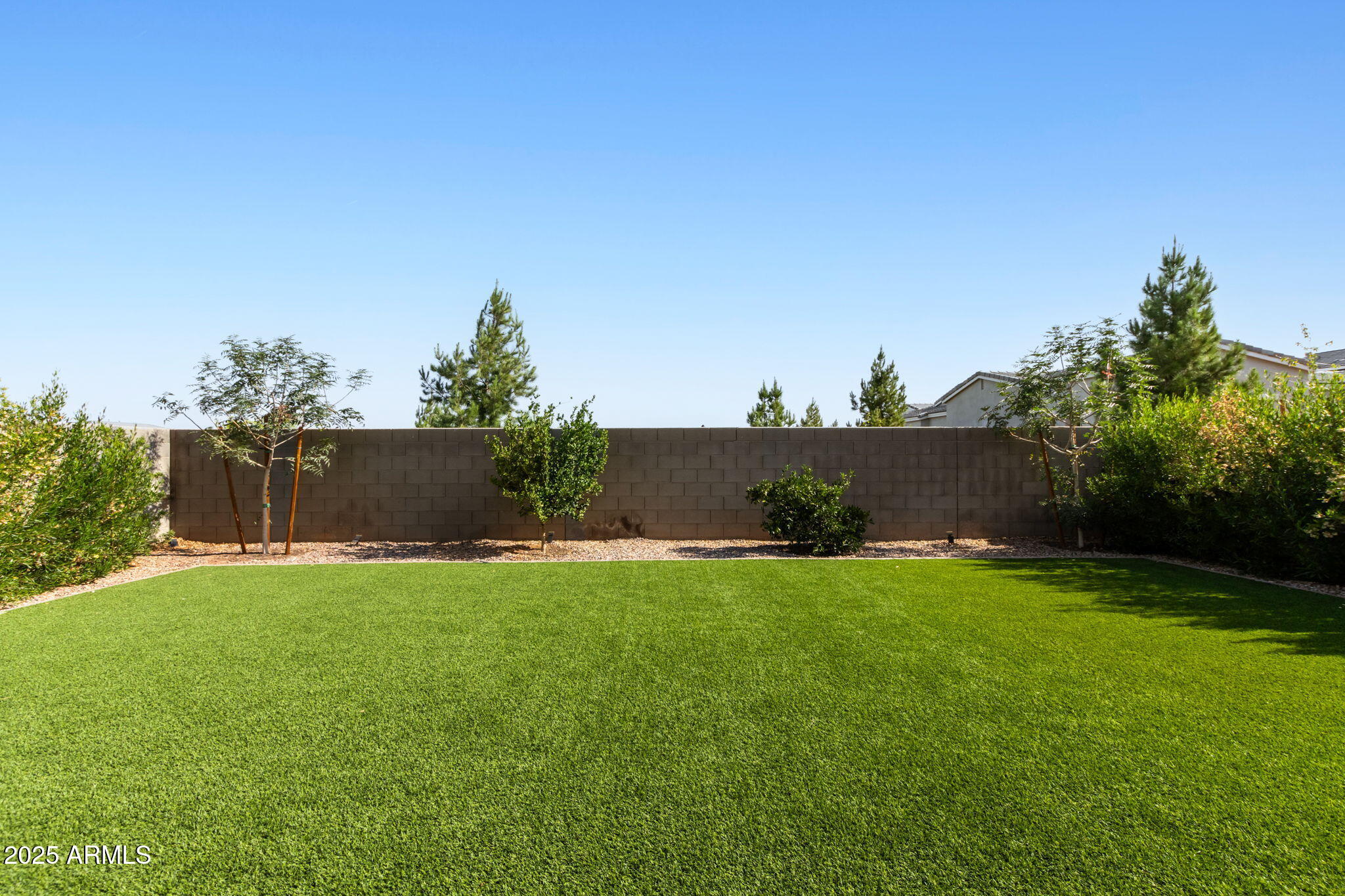 3818 East Appaloosa Road Gilbert, AZ 85296 - Photo 44 of 55 Backyard