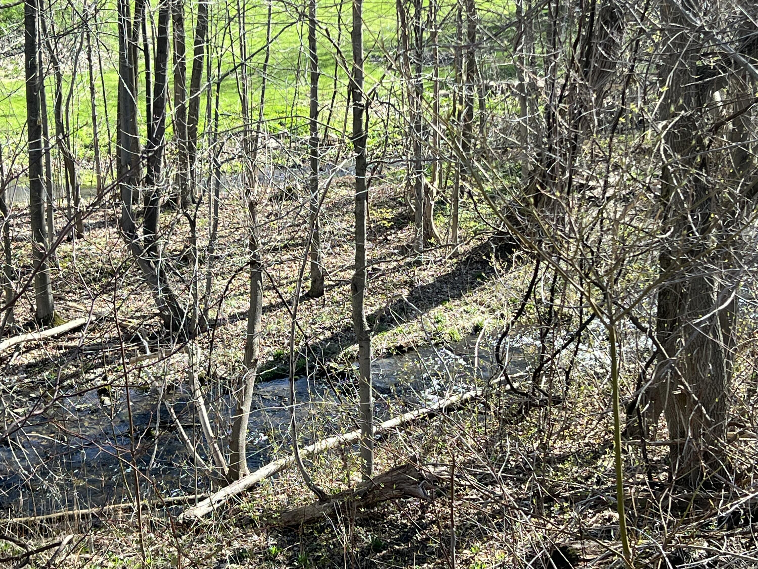 . Seymour Road Chateaugay, NY 12920 - Photo 27 of 33 IMG_9950