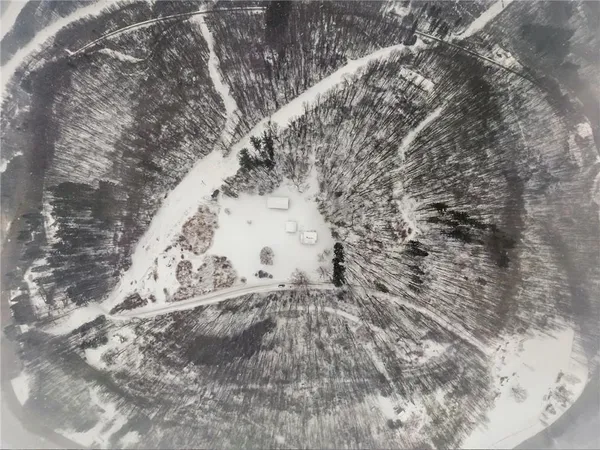 a view of a dry yard with trees