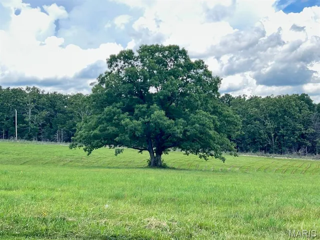 $385,000 | 3262 County Road 2330, Salem, MO 65560