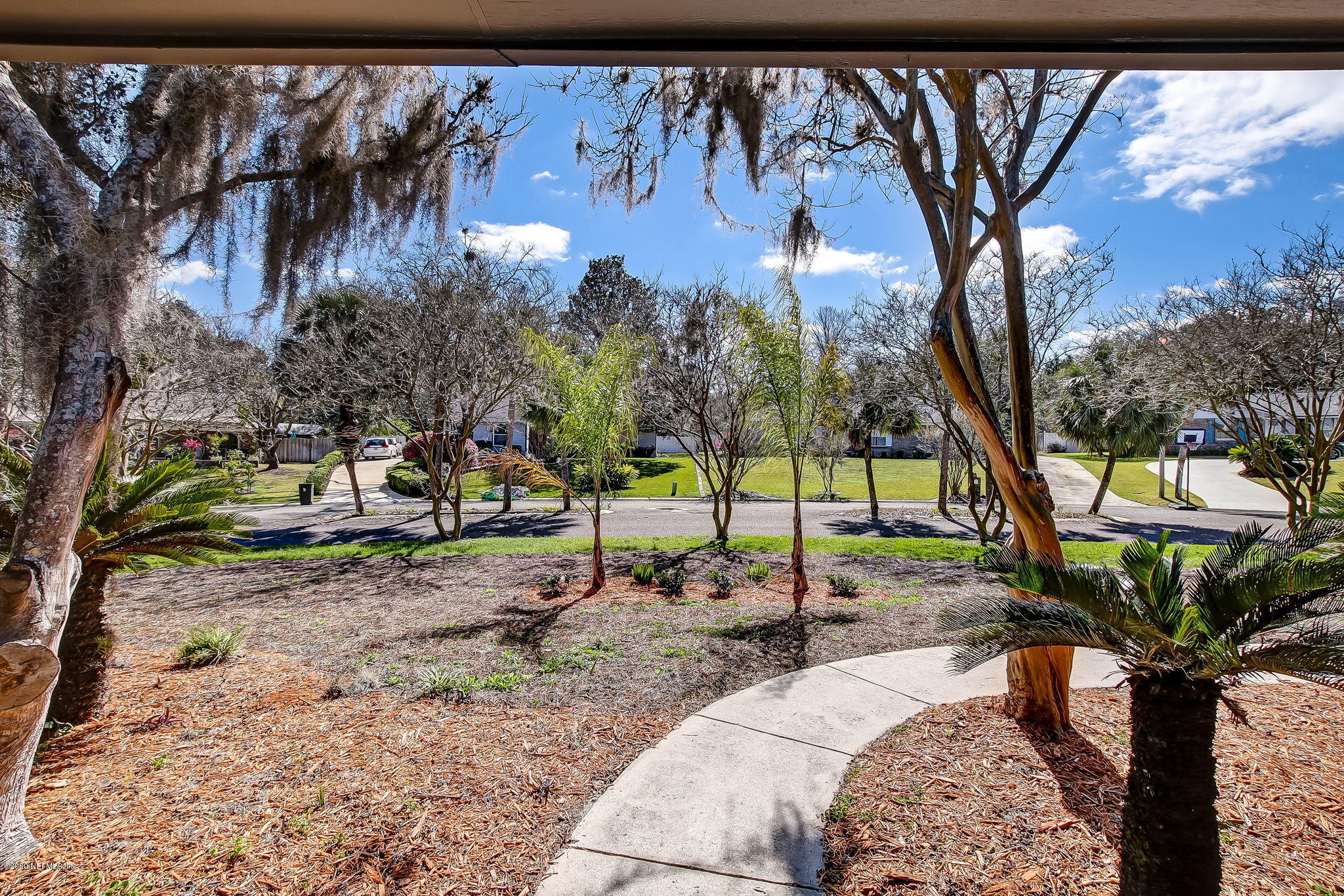 350 Foxridge Road Orange Park, FL 32065 - Photo 35 of 54 a view of a park with potted plants and large trees