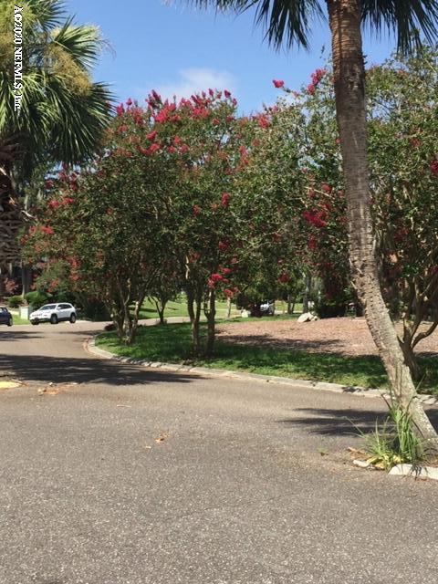 350 Foxridge Road Orange Park, FL 32065 - Photo 50 of 54 Blooming crepe myrtle's blooming!