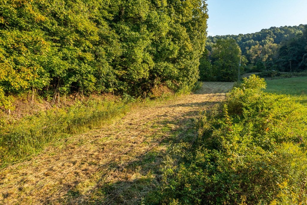 Tbd Tbd Rich Valley Road, Unit 44 Meadowview, VA 24361 - Photo 5 of 10 Gallery Image 5