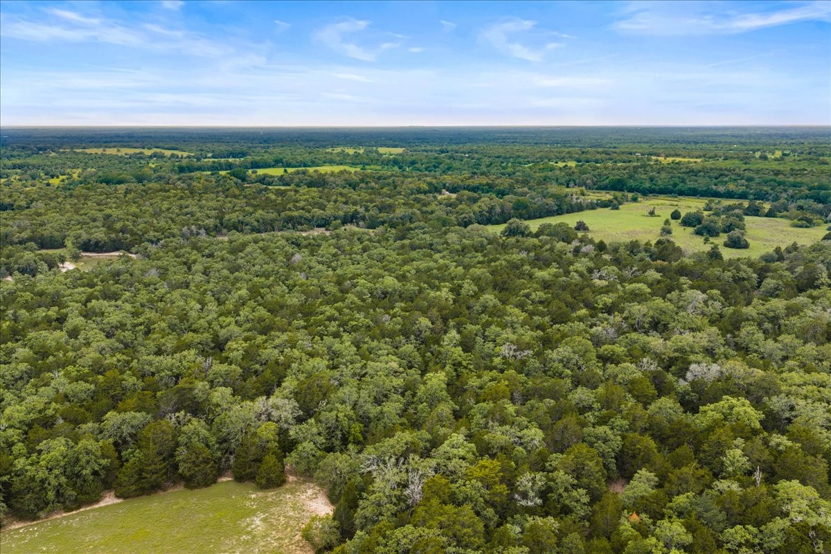 Tbd West Old Lockhart Road Muldoon, TX 78949 - Photo 11 of 18 a view of a city with lush green forest