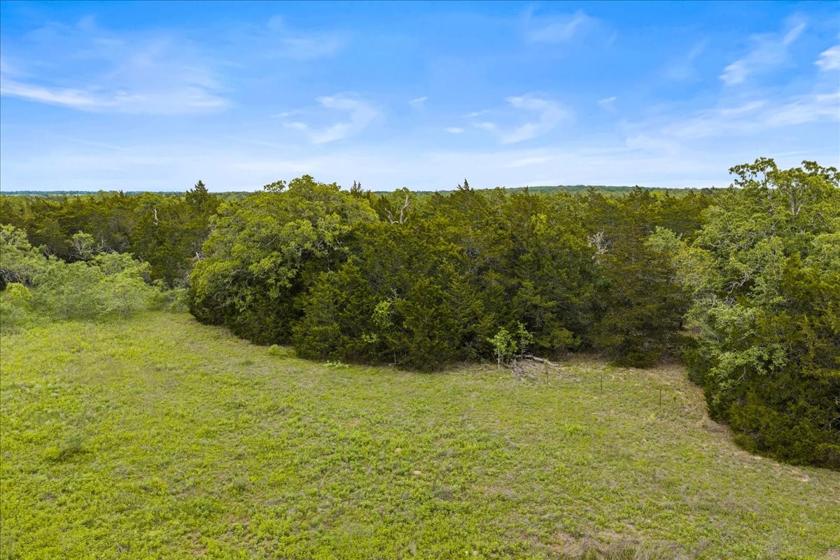 Tbd West Old Lockhart Road Muldoon, TX 78949 - Photo 2 of 18 a view of a yard with an trees