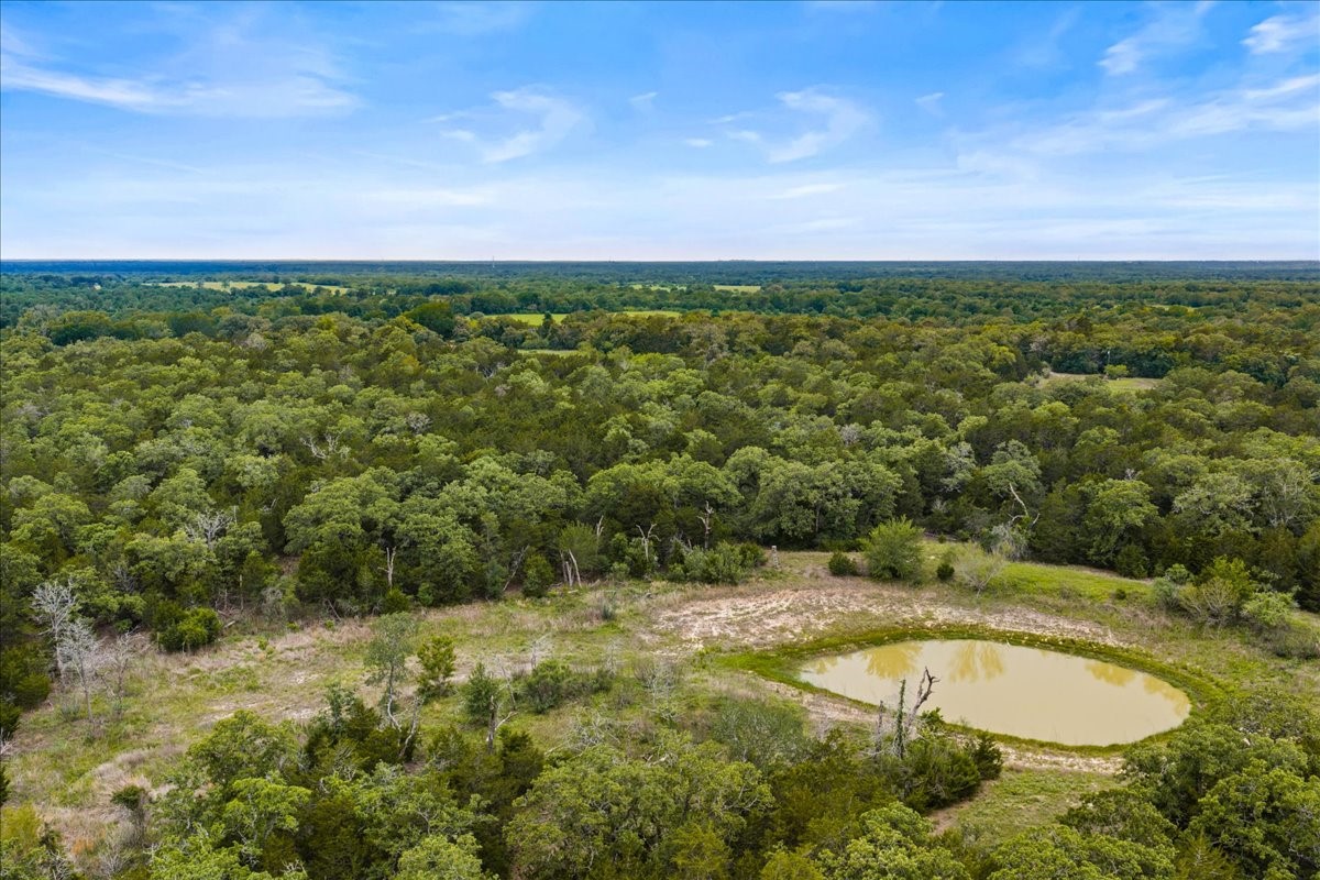 Tbd West Old Lockhart Road Muldoon, TX 78949 - Photo 5 of 18 a view of a yard with an outdoor space and hardwood floor