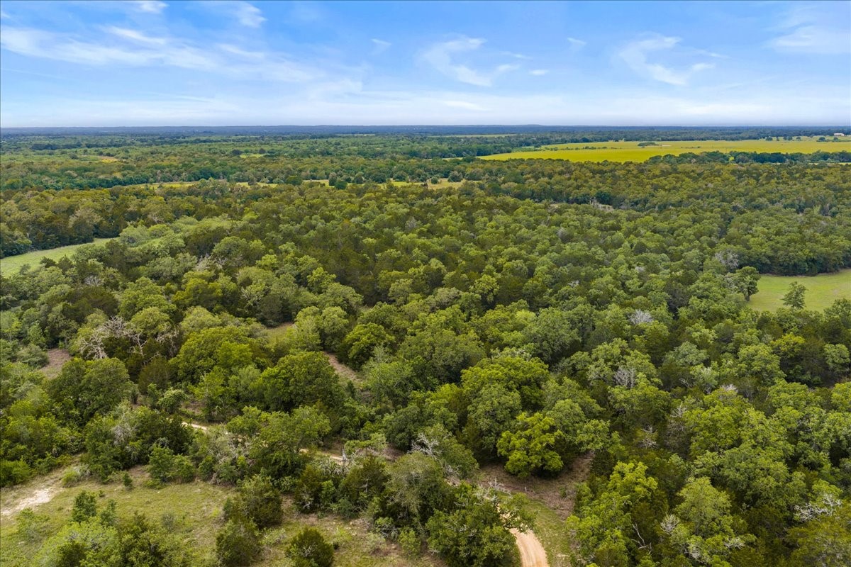 Tbd West Old Lockhart Road Muldoon, TX 78949 - Photo 8 of 18 a view of an ocean