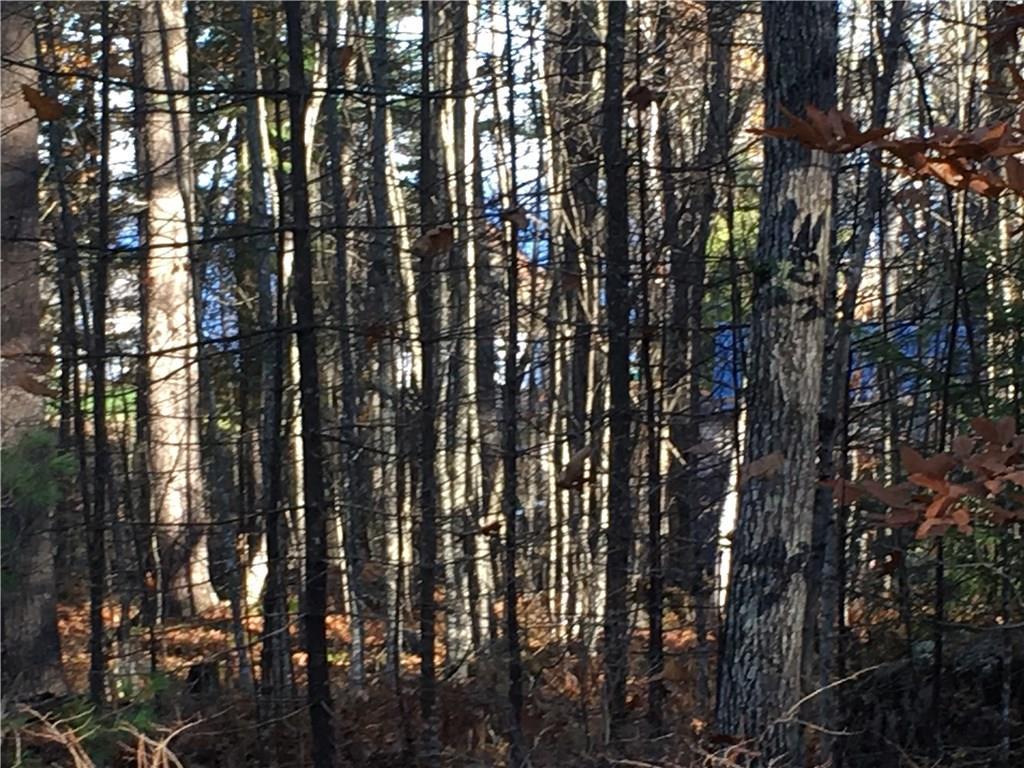 1343 Richville Road Standish, ME 04084 - Photo 11 of 18 Photo