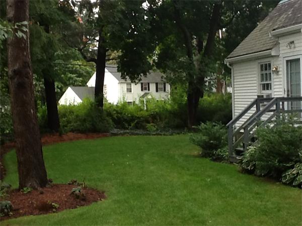 3 Upwey Road Wellesley, MA 02481 - Photo 21 of 22 Gallery Image 21