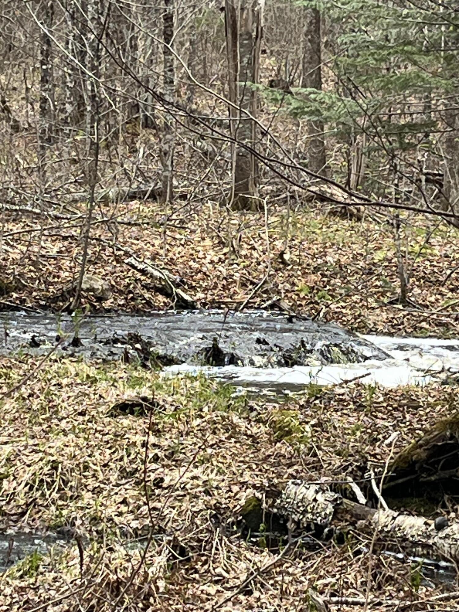 M6-l16 Meadowbrook Road Amity, ME 04471 - Photo 3 of 9 IMG_4213