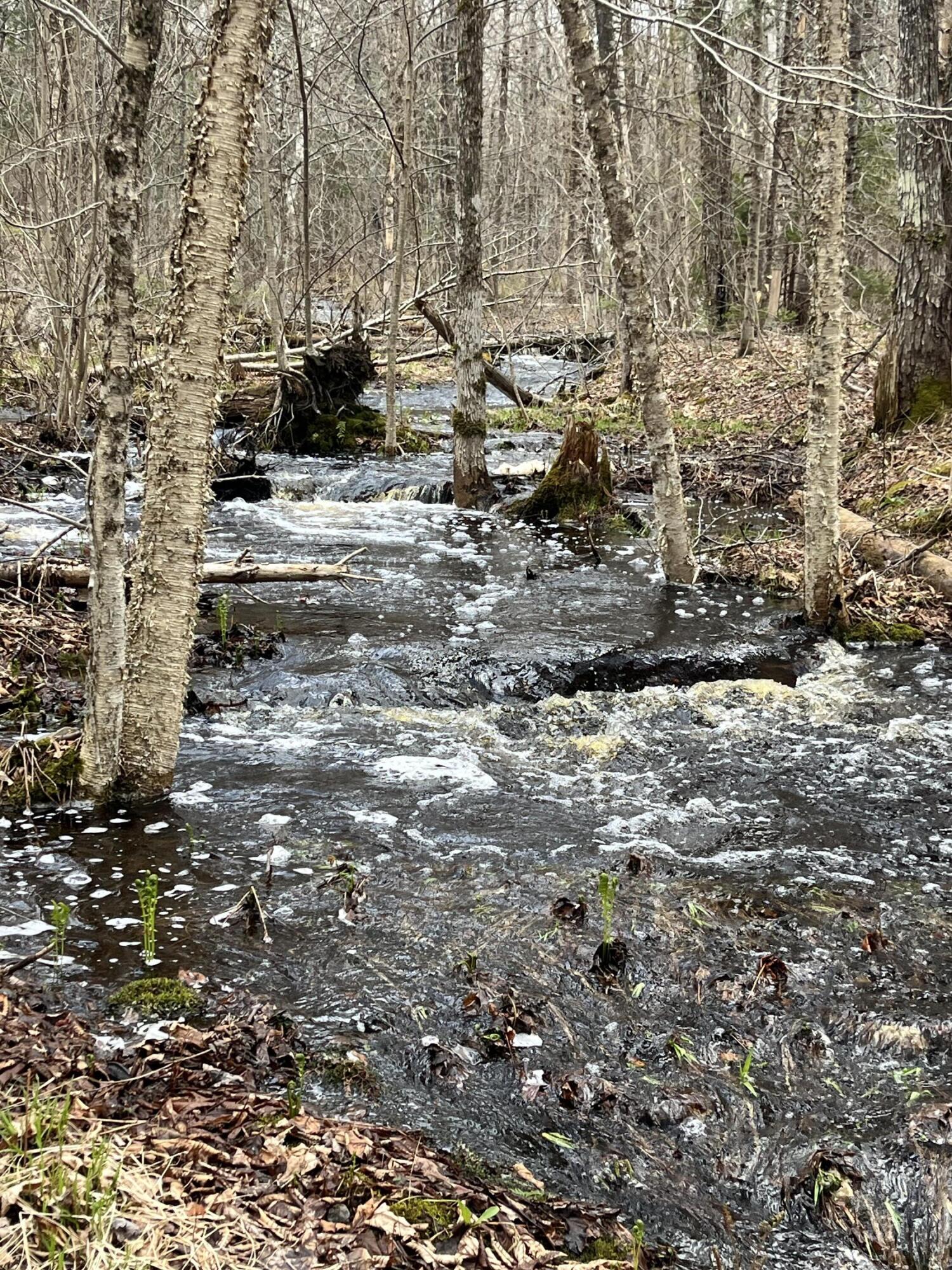 M6-l16 Meadowbrook Road Amity, ME 04471 - Photo 6 of 9 IMG_4215