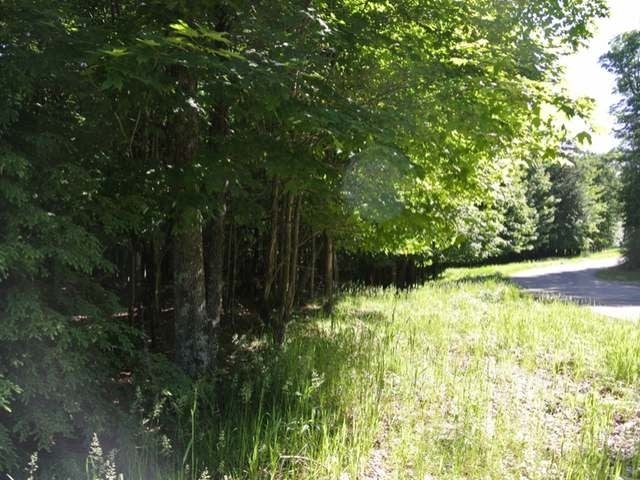Three Connors Road Three Lakes, WI 54562 - Photo 7 of 11 Gallery Image 7