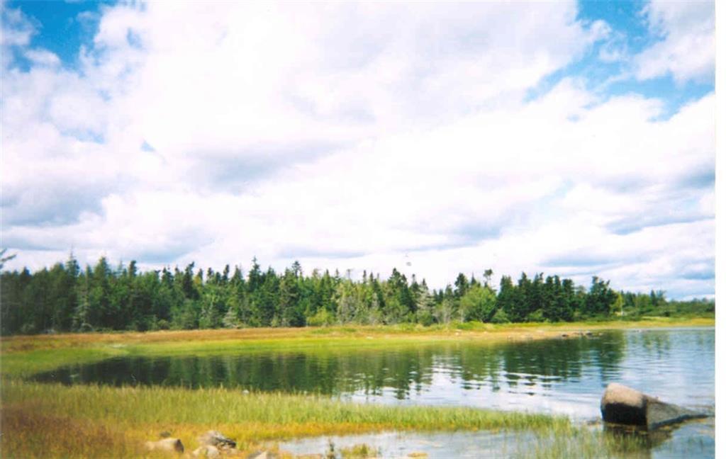 0 Salt Breeze Way Addison, ME 04606 - Photo 3 of 20 A north perspective of the idyllic...