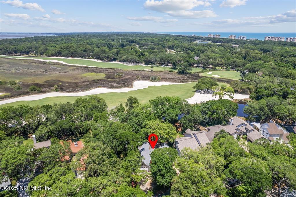22 Belted Kingfisher Road Fernandina Beach, FL 32034 - Photo 51 of 70 an aerial view of residential houses with outdoor space and trees