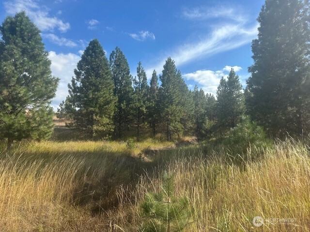 0 Melcum Grade Road Dayton, WA 99328 - Photo 5 of 12 a view of lake with green space