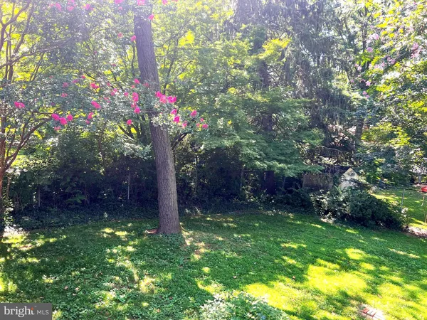 a fire hydrant in the middle of a garden