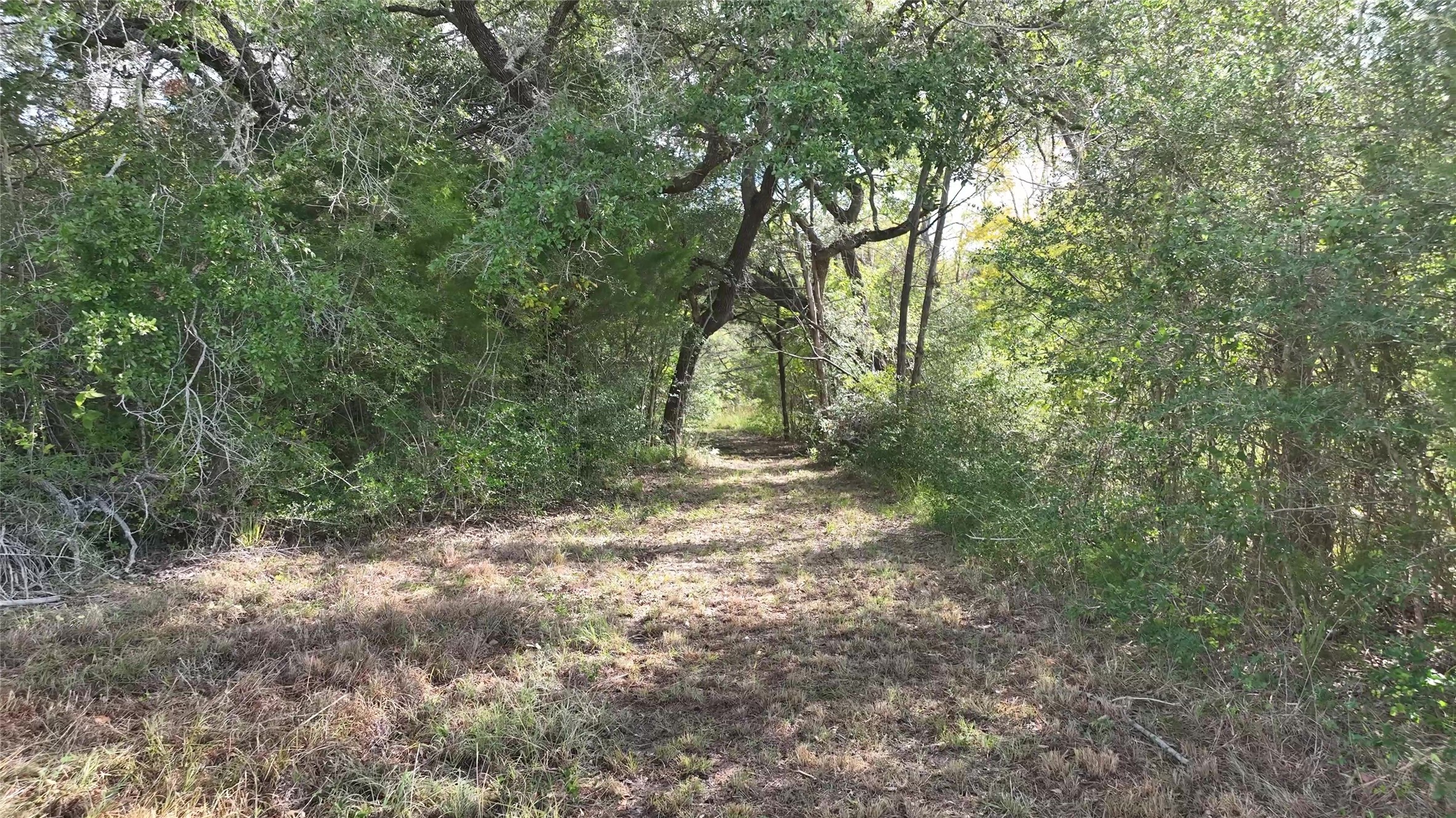 5400 Florida Chapel Road Round Top, TX 78954 - Photo 40 of 45
