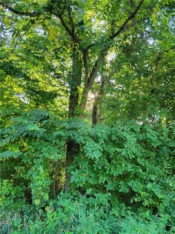 $127,000 | Connie Street, Otterville, MO 65348