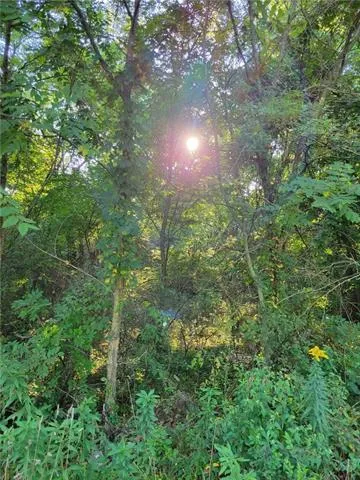 $127,000 | Connie Street, Otterville, MO 65348