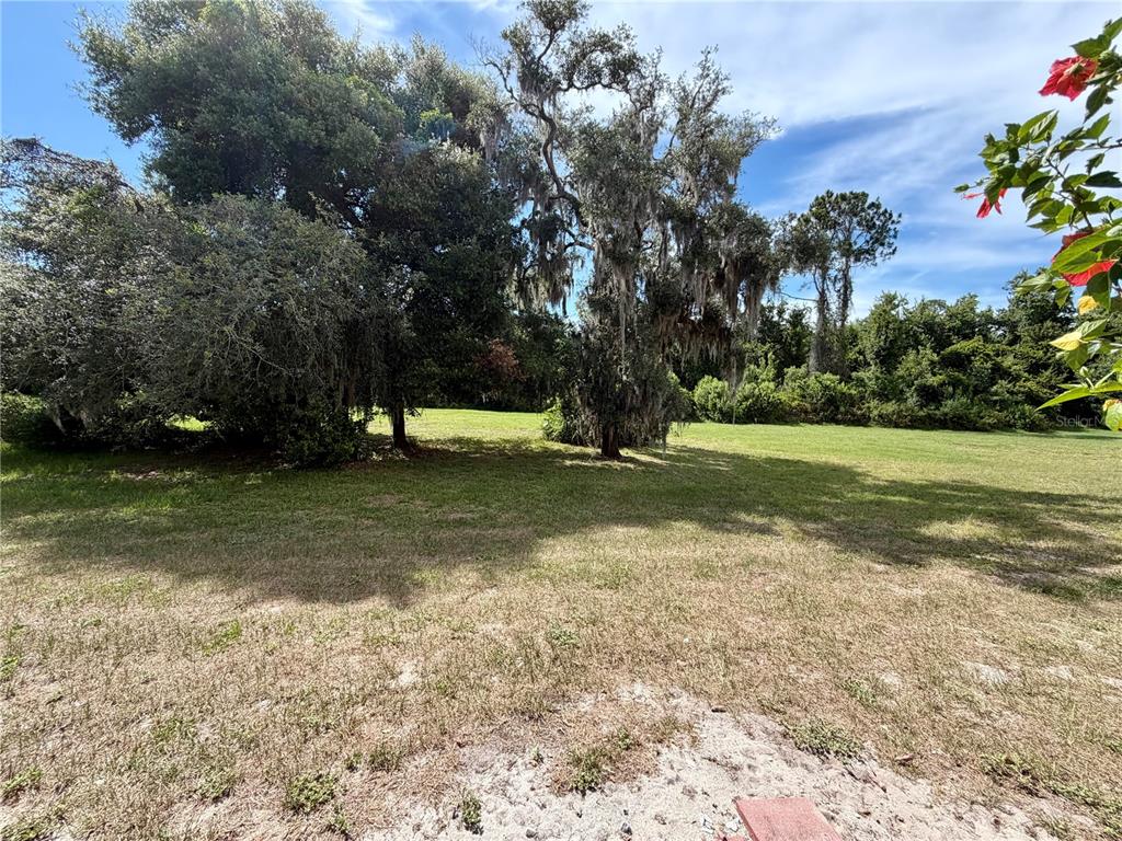 11837 Castine Street New Port Richey, FL 34654 - Photo 30 of 47