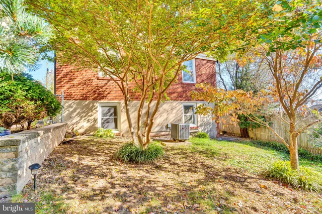 a view of a yard with plants and trees