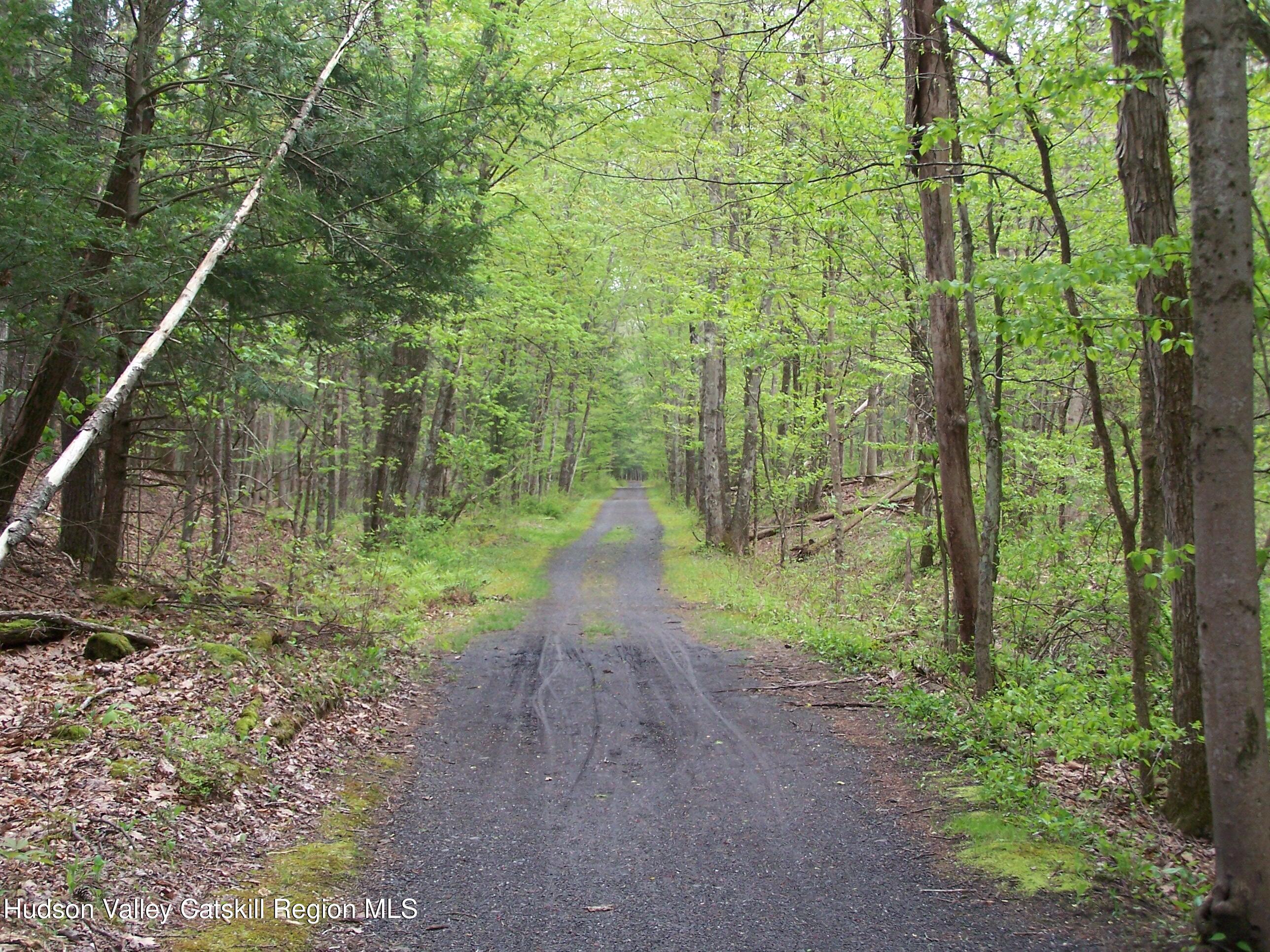 Tbd Heinle Road Kingston, NY 12401 - Photo 6 of 17 Rail Trail Frontage