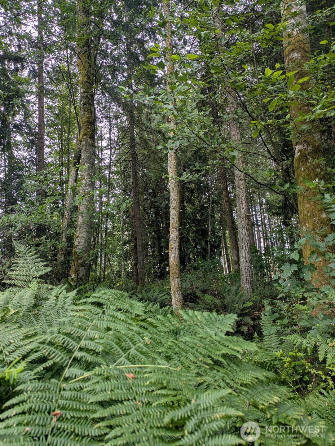 0 Maxwelton Road Langley, WA 98260 - Photo 7 of 13