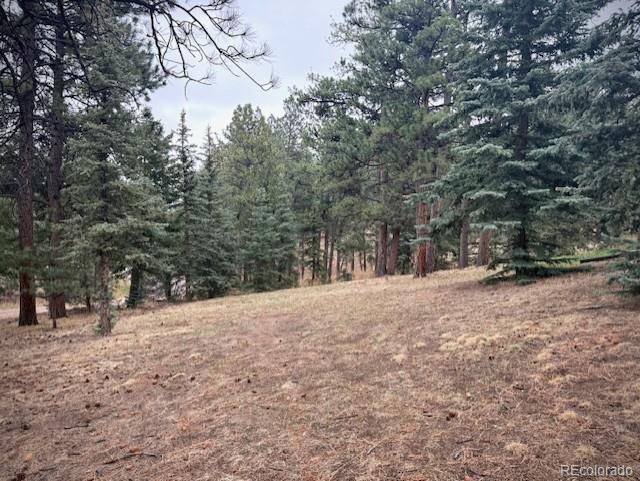 3518 South Saddle Road Evergreen, CO 80439 - Photo 21 of 27 a view of outdoor space with trees
